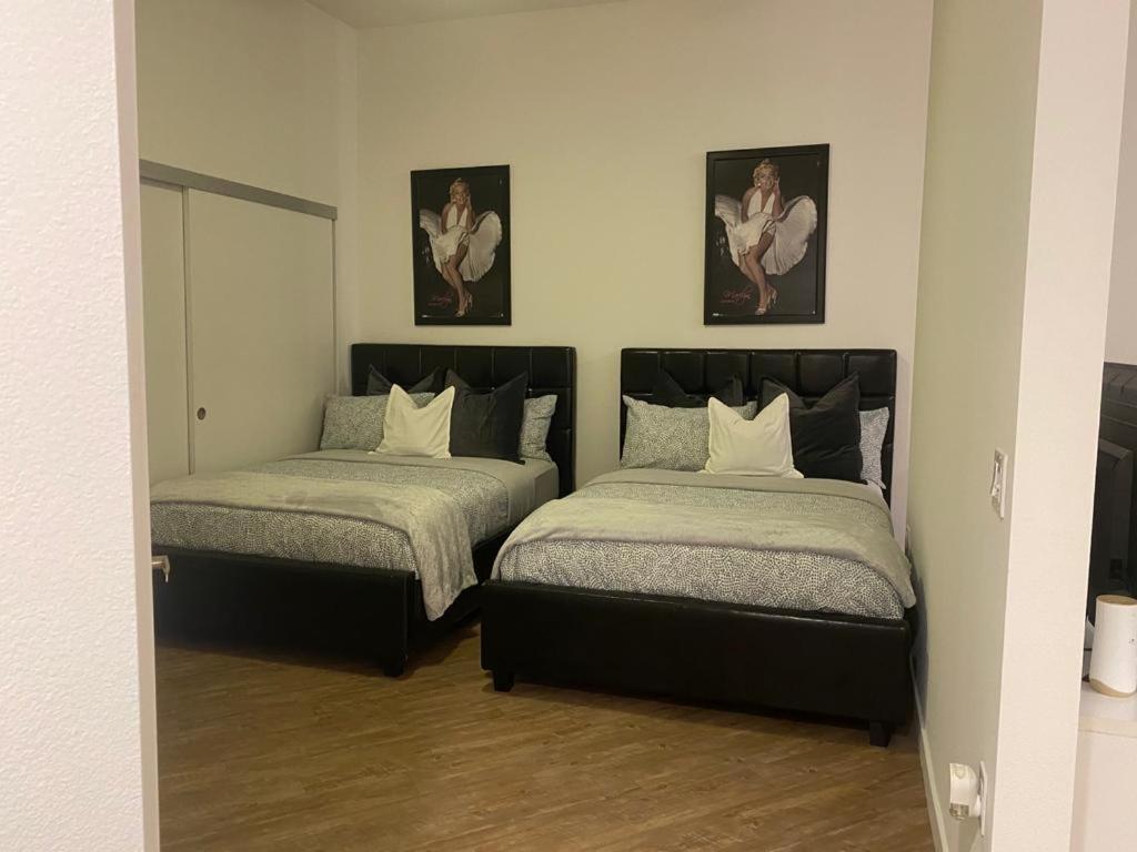 Apartment Exceptional Loft Free Parking And Wifi *