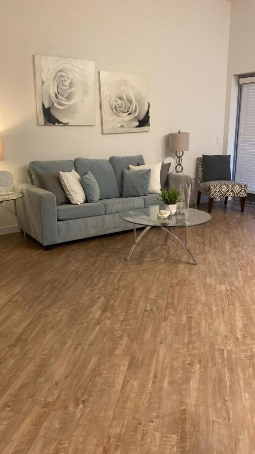Apartment Exceptional Loft Free Parking And Wifi *