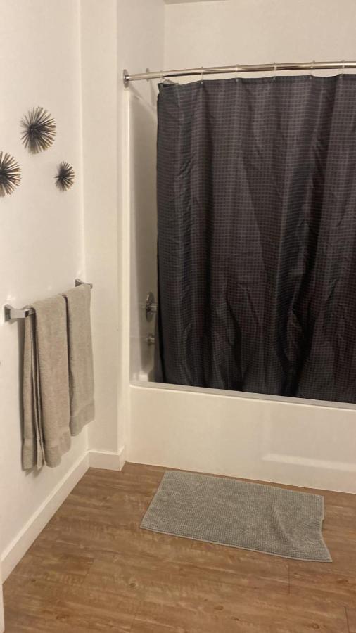 Apartment Exceptional Loft Free Parking And Wifi