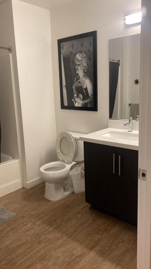 Apartment Exceptional Loft Free Parking And Wifi *