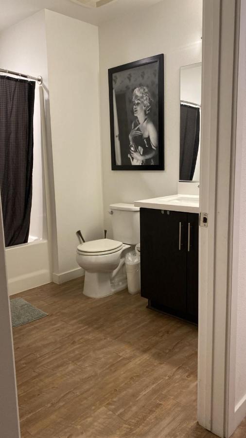 Apartment Exceptional Loft Free Parking And Wifi Los Angeles