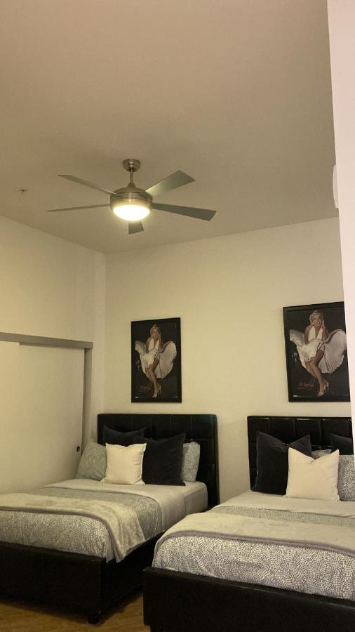 Apartment Exceptional Loft Free Parking And Wifi *