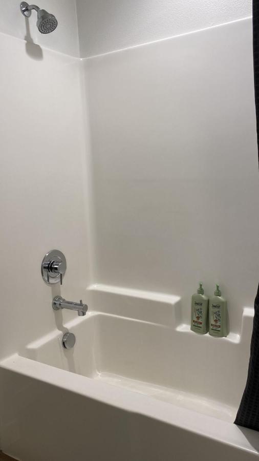 Apartment Exceptional Loft Free Parking And Wifi *